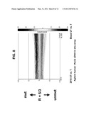 Differential enzymatic fragmentation by whole genome amplification diagram and image