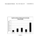 CYTOSOLIC ISOBUTANOL PATHWAY LOCALIZATION FOR THE PRODUCTION OF ISOBUTANOL diagram and image