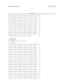 CYTOSOLIC ISOBUTANOL PATHWAY LOCALIZATION FOR THE PRODUCTION OF ISOBUTANOL diagram and image