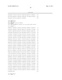 CYTOSOLIC ISOBUTANOL PATHWAY LOCALIZATION FOR THE PRODUCTION OF ISOBUTANOL diagram and image