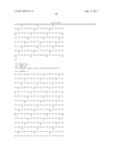 CYTOSOLIC ISOBUTANOL PATHWAY LOCALIZATION FOR THE PRODUCTION OF ISOBUTANOL diagram and image