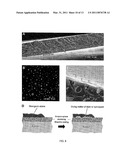 SOLVENT-BORNE POLYMERIC BIOACTIVE COATINGS FOR THE FACILITATED REMOVAL OF BIOORGANIC STAINS diagram and image