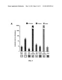 SOLVENT-BORNE POLYMERIC BIOACTIVE COATINGS FOR THE FACILITATED REMOVAL OF BIOORGANIC STAINS diagram and image