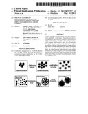 MAGNETICALLY-DRIVEN BIODEGRADABLE GENE DELIVERY NANOPARTICLES FORMULATED WITH SURFACE-ATTACHED POLYCATIONIC COMPLEX diagram and image