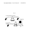 MAGNETICALLY-DRIVEN BIODEGRADABLE GENE DELIVERY NANOPARTICLES FORMULATED WITH SURFACE-ATTACHED POLYCATIONIC COMPLEX diagram and image