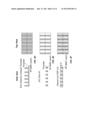 Fabrication of Magnetic Element Arrays diagram and image