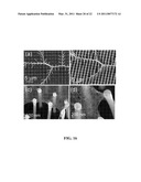 ASSEMBLY AND DEPOSITION OF MATERIALS USING A SUPERHYDROPHOBIC SURFACE STRUCTURE diagram and image