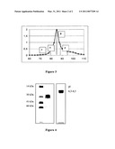 PROTEIN OR GLYCOPROTEIN FROM HALIOTIS MIDAE AND ITS USE AS AN IMMUNOTHERAPY AGENT diagram and image