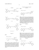 SUBSTITUTED 2-ALKYL QUINAZOLINONE DERIVATIVES AS PARP INHIBITORS diagram and image