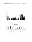 OLIGONUCLEOTIDE DUPLEXES COMPRISING DNA-LIKE AND RNA-LIKE NUCLEOTIDES AND USES THEREOF diagram and image