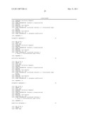 OLIGONUCLEOTIDE DUPLEXES COMPRISING DNA-LIKE AND RNA-LIKE NUCLEOTIDES AND USES THEREOF diagram and image