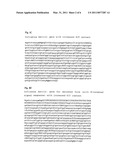 PHARMACEUTICAL COMPOSITION CONTAINING A STABILISED MRNA OPTIMISED FOR TRANSLATION IN ITS CODING REGIONS diagram and image