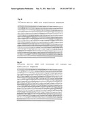 PHARMACEUTICAL COMPOSITION CONTAINING A STABILISED MRNA OPTIMISED FOR TRANSLATION IN ITS CODING REGIONS diagram and image