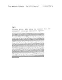 PHARMACEUTICAL COMPOSITION CONTAINING A STABILISED MRNA OPTIMISED FOR TRANSLATION IN ITS CODING REGIONS diagram and image