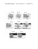 ENVIRONMENTALLY-ADAPTIVE SHAPES WITH A MULTI-AGENT SYSTEM diagram and image