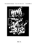 HEAT RESISTANT PLANTS AND PLANT TISSUES AND METHODS AND MATERIALS FOR MAKING AND USING SAME diagram and image