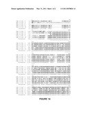 YIELD ENHANCEMENT IN PLANTS BY MODULATION OF A ZM-EREF-TS PROTEIN diagram and image