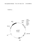 MULTI EPITOPE VACCINE FOR POULTRY diagram and image