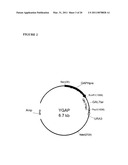 MULTI EPITOPE VACCINE FOR POULTRY diagram and image