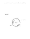 MULTI EPITOPE VACCINE FOR POULTRY diagram and image