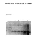 MULTI EPITOPE VACCINE FOR POULTRY diagram and image