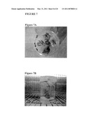 MULTI EPITOPE VACCINE FOR POULTRY diagram and image