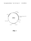 Polypeptides having xylanase activity and polynucleotides encoding same diagram and image