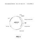 Polypeptides having cellulolytic enhancing activity and polynucleotides encoding same diagram and image