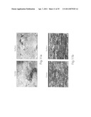 Homogenization and heat-treatment of cast metals diagram and image