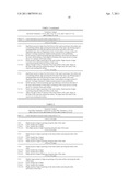 Device and method for treatment of canals diagram and image