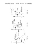 Methods And Systems For Determining And Tracking Extremities Of A Target diagram and image