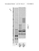 METHOD AND APPARATUS FOR MITIGATING DOWNLINK CONTROL CHANNEL INTERFERENCE diagram and image