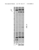 METHOD AND APPARATUS FOR MITIGATING DOWNLINK CONTROL CHANNEL INTERFERENCE diagram and image