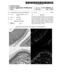 AUTOMATED PLACENTAL MEASUREMENT diagram and image