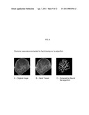 AUTOMATED PLACENTAL MEASUREMENT diagram and image