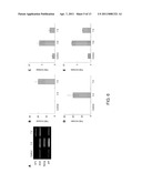 OMENTUM AS A SOURCE OF STROMAL/STEM CELLS AND MEDICAL TREATMENTS USING STROMAL/STEM CELLS diagram and image