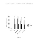 OMENTUM AS A SOURCE OF STROMAL/STEM CELLS AND MEDICAL TREATMENTS USING STROMAL/STEM CELLS diagram and image