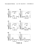 COLLAGEN PEPTIDE CONJUGATES AND USES THEREFOR diagram and image