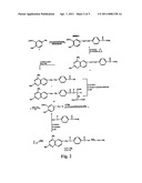 METABOLICALLY INERT ANTIFOLATES FOR TREATING DISORDERS OF ABNORMAL CELLULAR PROLIFERATION AND INFLAMMATION diagram and image