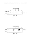 Synthetic scFv Analogue To The 6313/G2 (Anti Angiotensin II Type 1 Receptor) Monoclonal Antibody Variable Regions diagram and image