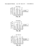 Synthetic scFv Analogue To The 6313/G2 (Anti Angiotensin II Type 1 Receptor) Monoclonal Antibody Variable Regions diagram and image