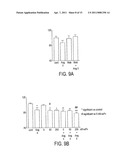 Synthetic scFv Analogue To The 6313/G2 (Anti Angiotensin II Type 1 Receptor) Monoclonal Antibody Variable Regions diagram and image