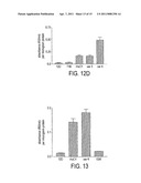 Synthetic scFv Analogue To The 6313/G2 (Anti Angiotensin II Type 1 Receptor) Monoclonal Antibody Variable Regions diagram and image