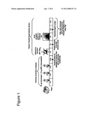 Chimeric Vaccine for Haemophilus Influenzae-Induced Disease diagram and image