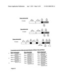 ANTIGENIC COMPLEX FOR THE DIAGNOSIS AND TREATMENT OF PORPHYROMONAS GINGIVALIS INFECTION diagram and image