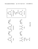 METHODS OF ATTACHING A MOLECULE-OF-INTEREST TO A MICROTUBE diagram and image