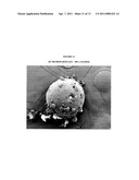 PROLONGED RELEASE OF LOCAL ANESTHETICS USING MICROPARTICLES AND SURGERY APPLICATIONS diagram and image