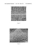 Novel Electrode Design for Low Temperature Direct-Hydrocarbon Solid Oxide Fuel Cells diagram and image