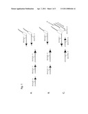 DENGUE VIRUS ASSAY diagram and image