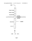 EGFR AND KRAS MUTATIONS diagram and image